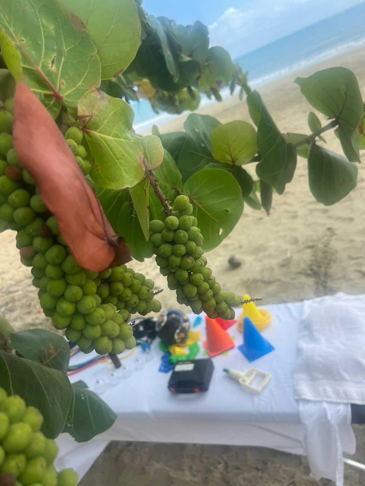 Privacy protected massage setup on Cabarete beach