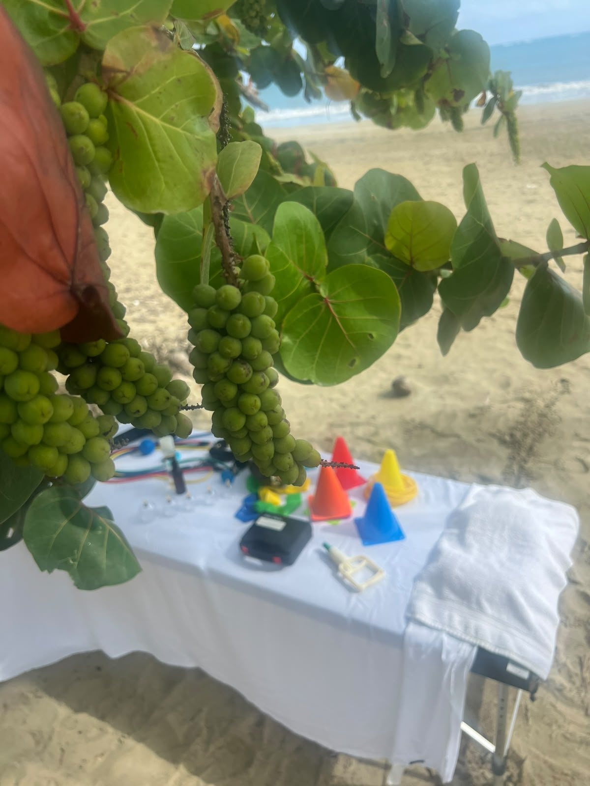 Privacy protected beach massage preparation